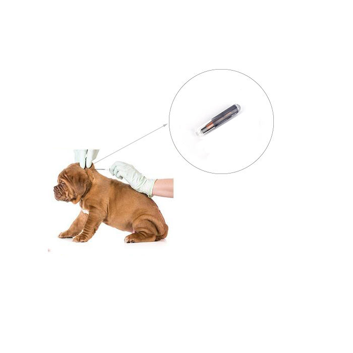 FDX-B 134.2khz RFID Animal ID Glass Tag Dog Cat Syringe Transponder Micro Chip Implant Pet Microchips For Animal