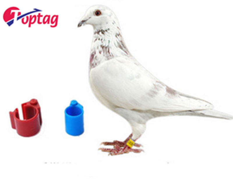 RFID 134.2Khz Pigeon Tag RFID Chicken Foot Ring with EM4305 Chip