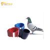 UHF antenna RFID Nail Fish Tracking Racing Pigeon rfid tags for chicken